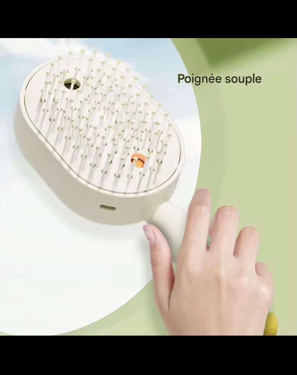 Brosse capillaire à nano-brume